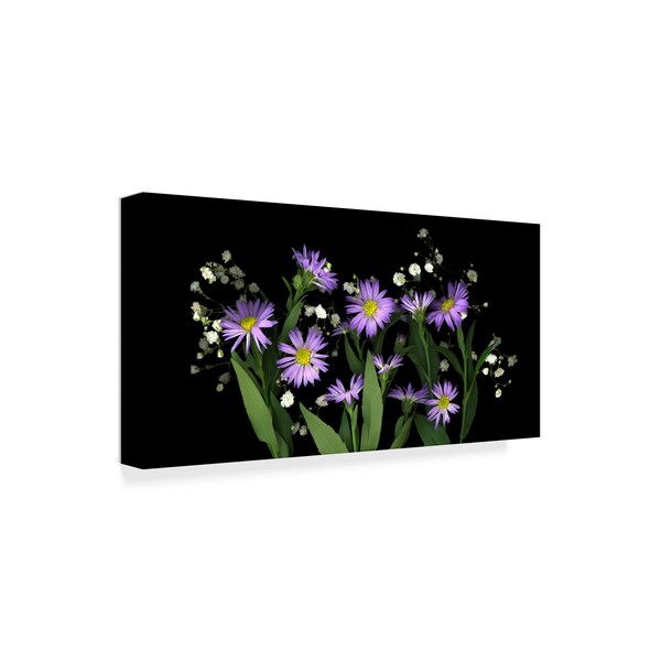 Susan S. Barmon 'Asters And Babys Breath 2' Canvas Art,12x24